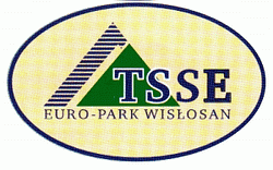 logo tsse